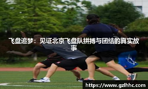 飞盘追梦:见证北京飞盘队拼搏与团结的真实故事